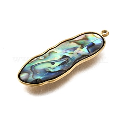 Anhänger aus natürlichem Paua-Muschel-Pave aus Edelstahl 304&nbsp;STAS-Z125-01C-G