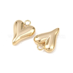 Anhänger aus Edelstahl 304&nbsp;STAS-A076-13G-02