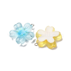 Pendentifs en résine transparente&nbsp;RESI-A046-05B