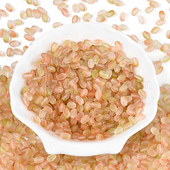 Perles de rocaille en verre dépoli&nbsp;SEED-N008-05D