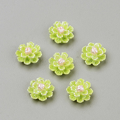 Nachahmung Perlen Harz Cabochons&nbsp;X-CRES-S301-24