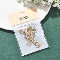 Pendentifs en laiton Shegrace avec micro-pavé de zircone cubique transparente&nbsp;XGRQ29963-394G-M