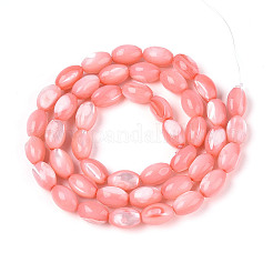 Hebras de cuentas de concha de trochus natural&nbsp;SHEL-K006-19-01E