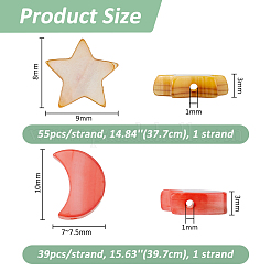 2 Stränge 2 Stile gefärbte natürliche Muschelperlenstränge&nbsp;SHEL-FH0001-25