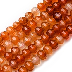 Chapelets de perles en cornaline naturelle&nbsp;G-P587-D06-02