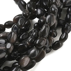 Fili di perline di ossidiana lucentezza argento naturale&nbsp;G-C286-A21