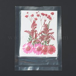 Gepresste Trockenblumen, für Handy, Fotorahmen, Scrapbooking DIY und Harzkunst Blumendekore, Blumenmuster, 130x100x0.8 mm