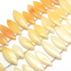 Horse Eye Natural Yellow Agate Beads Strands, 31~58x11~17x4~7mm, Hole: 1~1.5mm, about 22~30pcs/strand, 15.3 inch~16.3 inch