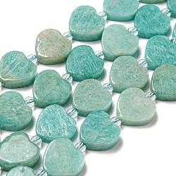 Chapelets de perles en amazonite naturelle, avec des perles de rocaille, cœur, 15.5~16x16x5.5~6.5mm, Trou: 1.2mm, Environ 20 pcs/chapelet, 15.04 pouce (38.2 cm)