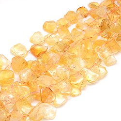 Natural Gemstone Citrine Beads Strands, 10~25x10~25x5~7mm, Hole: 1mm, about 28~30pcs/strand, 15.74 inch