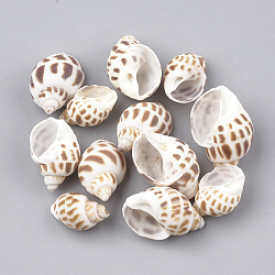 Perles de coquillages en spirale, pas de trous / non percés, chameau, 20~33.6x13~23x10~20mm
