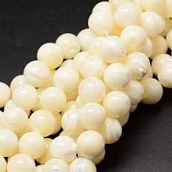 Natural Sea Shell Beads Strands, Round, Creamy White, 12mm, Hole: 1mm, about 33pcs/strand, 15.75 inch