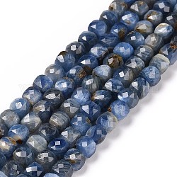 Chapelets de perles en cyanite / cyanite / divalent naturel, facette, cube, 4.5x4.5x4.5mm, Trou: 0.8mm, Environ 83 pcs/chapelet, 15.16 pouce (38.5 cm)