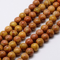 Chapelets de perles en pierre en bois naturel, ronde, brun, 6mm, Trou: 0.8mm, 63 pcs / chapelet, 15 pouce ~ 16 pouces