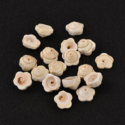 Flor natural cuentas de concha de ojo de shiva, PapayaWhip, 12~14x2~5mm, agujero: 1 mm