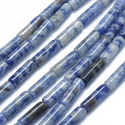 Perles de jaspe tache bleue naturelle, colonne, 11~15x3.5~4.5mm, Trou: 1~1.2mm, Environ 28~30 pcs/chapelet, 15.1~15.9 pouce (38.5~40.5 cm)