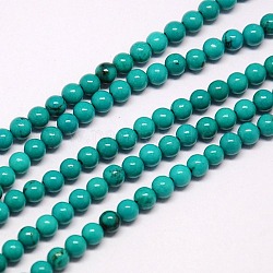 Brins de perles de magnésite naturelle, teinte, ronde, turquoise, 10mm, Trou: 1mm, Environ 41 pcs/chapelet, 15.74 pouce