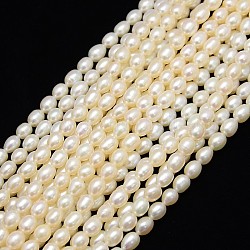 Hebras de perlas de agua dulce cultivadas naturales de grado aa, arroz, blanco cremoso, 6~8x4~5mm, agujero: 0.8 mm, aproximamente 71 pcs / cadena, 13.77 pulgada ~ 14.17 pulgadas