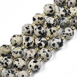 Chapelets de perles en jaspe dalmatien naturelle, avec des perles de rocaille, tambour à barillet bicône à facettes, 7~8x7~8mm, Trou: 1mm, Environ 35~38 pcs/chapelet, 13.82 pouce ~ 14.84 pouces (35.1~37.7 cm)