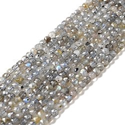 Chapelets de perles en labradorite naturelle , facette, cube, 4x4x4mm, Trou: 0.6mm, Environ 96 pcs/chapelet, 15.24'' (38.7 cm)
