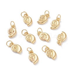 Alloy Charms, Long-Lasting Plated, with Jump Rings, Snail Shell, Real 18K Gold Plated, 12x7x2mm, Jump Ring: 5x1mm, Inner Diameter: 3mm 
