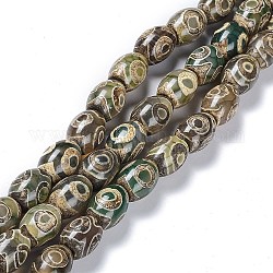 Tibetischen Stil dzi Perlen Stränge, natürliche Achat Perlen, gefärbt und erhitzt, Oval, 3 Auge, 13~14x9.5~10 mm, Bohrung: 1.2 mm, ca. 25 Stk. / Strang, 13.39'' (34 cm)