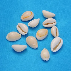 Perles de coquillage cauri naturelles, teinte, couleur de coquillage, 18.5~23x13~14x9~11mm, Trou: 1.5mm