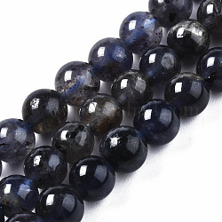 Fili di perle di iolite / cordierite / dicroite naturali, tondo, 6mm, Foro: 0.8 mm, circa 60~62pcs/filo, 15.16 pollice (38.5 cm)