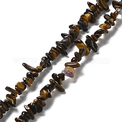 Chapelets de perles d'œil de tigre naturel, puce, 1~5x3~16x3~5mm, Trou: 0.8~0.9mm, 29.92~32.68'' (76~83 cm)