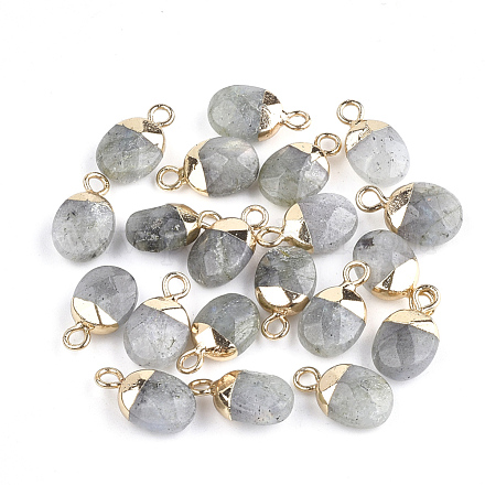 Charms in labradorite naturale per placca X-G-S344-09D-1