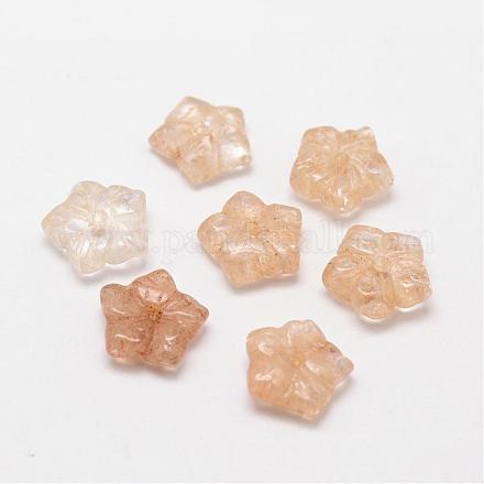 Natural Crystal Beads G-P155-08A-1