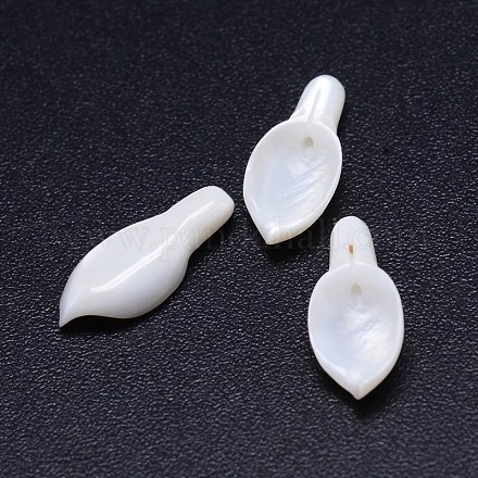 Perles de coquille blanche naturelle feuille SSHEL-P005-05-1