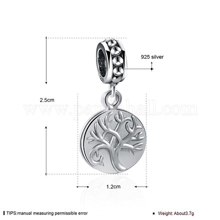 925 Thai Sterling Silver European Dangle Charms OPDL-BB23683-1
