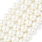 Shell Pearl Beads Strands, Round, White, 10.5mm, Hole: 0.9mm, about 40pcs/strand, 16.06''(40.8cm)