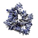 Perles de jaspe tache bleue naturelle G-P033-03-3