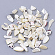 Sea Shell Beads X-SSHEL-S258-70-2