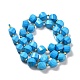 Dyed Natural Howlite Beads Strands G-G023-B01-01A-3