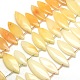 Horse Eye Natural Yellow Agate Beads Strands G-P063-25-1