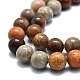 Natural Fossil Coral Beads Strands G-E576-03C-3