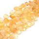Natural Gemstone Citrine Beads Strands G-L157-04-1