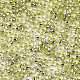 ガラスシードビーズ  機械刺繍に適合  銀並ぶ  ラウンド  黄緑  2.5x1.5mm  穴：1mm  約20000個/袋 SEED-S042-04A-02-3