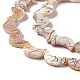 Drawbench Style Natural Freshwater Shell Beads Strands SHEL-F003-05-4