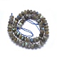 Natural Labradorite Beads Strands G-O170-59E-2