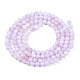 Natural Freshwater Shell Beads Strands BSHE-T009A-01G-2