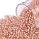 Toho perles de rocaille rondes X-SEED-TR11-0924-1