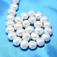 Coquille ovale brins perles de perles BSHE-L013-L-A013A-3