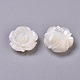 Perles de coquillage blanc naturel BSHE-L043-05-2
