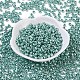 6/0 Glass Seed Beads SEED-A017-4mm-1119-1