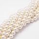Chapelets de perles en coquille BSHE-L026-03-8mm
