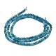 Natural Apatite Beads Strands G-F686-09A-02-2